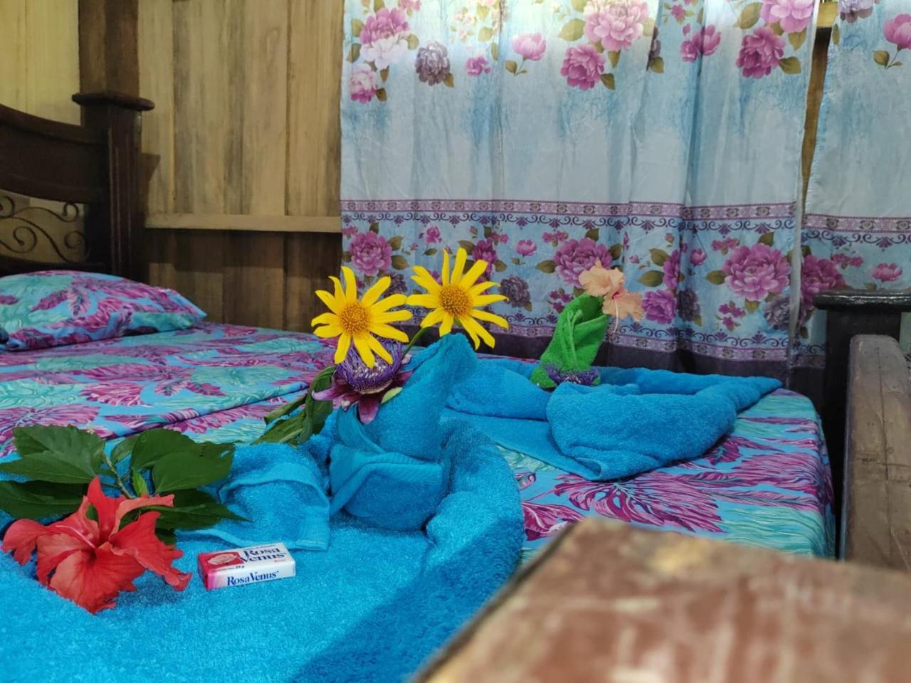 Los Paniquines Ecolodge Drake Bay Zewnętrze zdjęcie