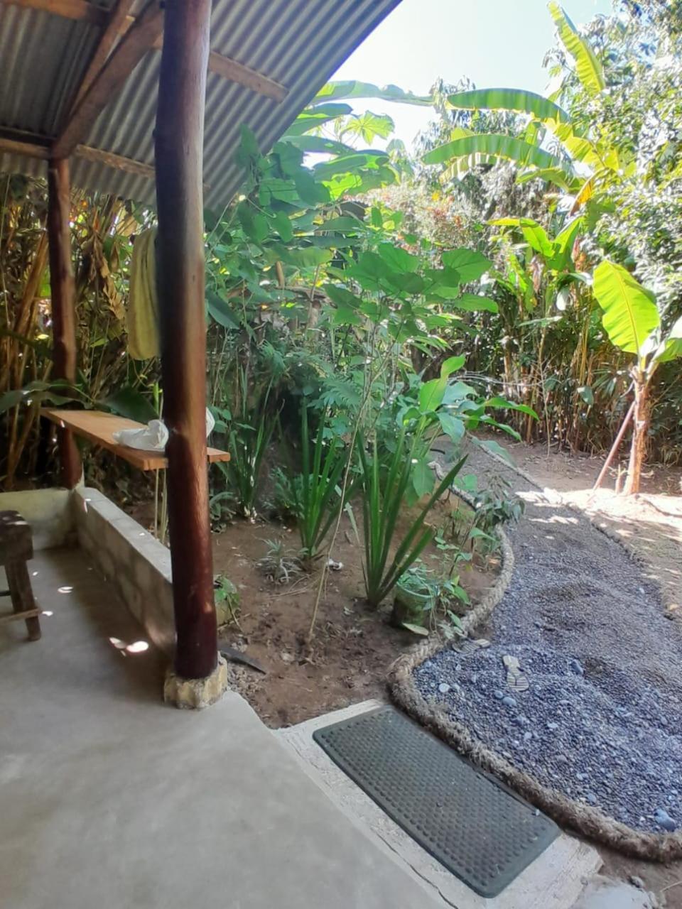 Los Paniquines Ecolodge Drake Bay Zewnętrze zdjęcie