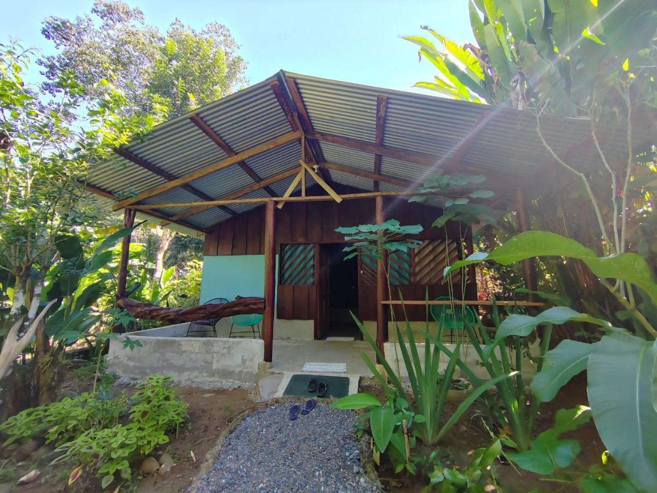 Los Paniquines Ecolodge Drake Bay Zewnętrze zdjęcie