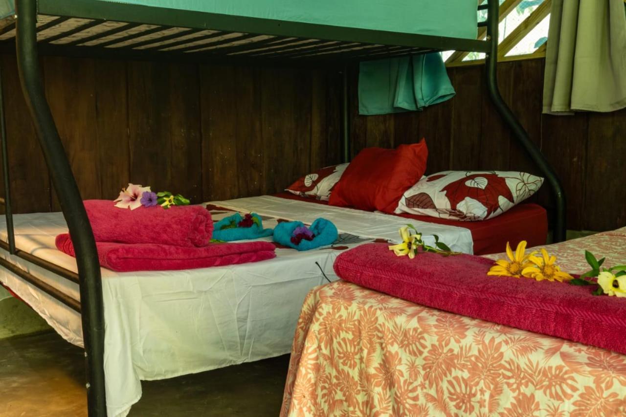 Los Paniquines Ecolodge Drake Bay Zewnętrze zdjęcie