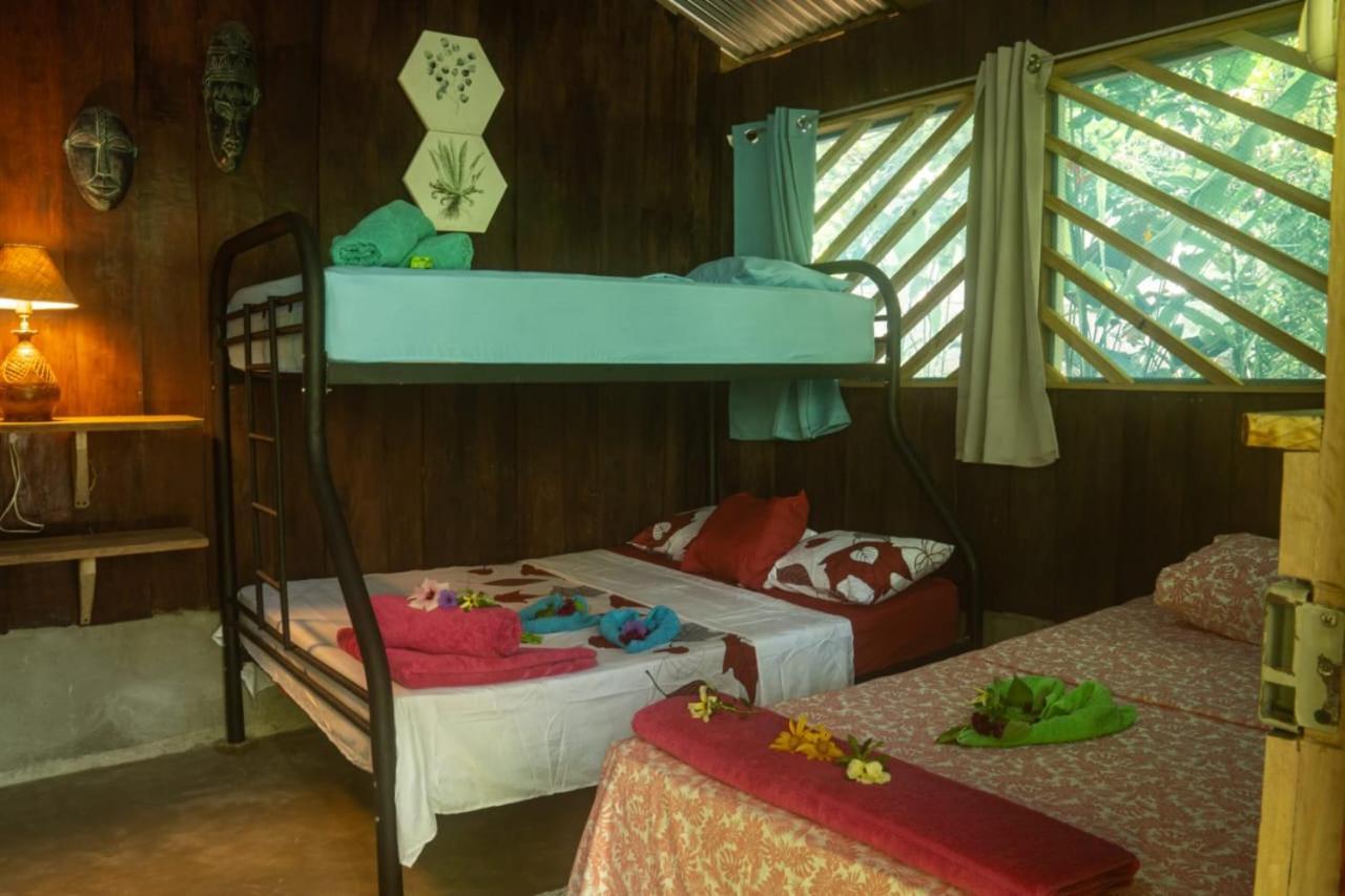 Los Paniquines Ecolodge Drake Bay Zewnętrze zdjęcie
