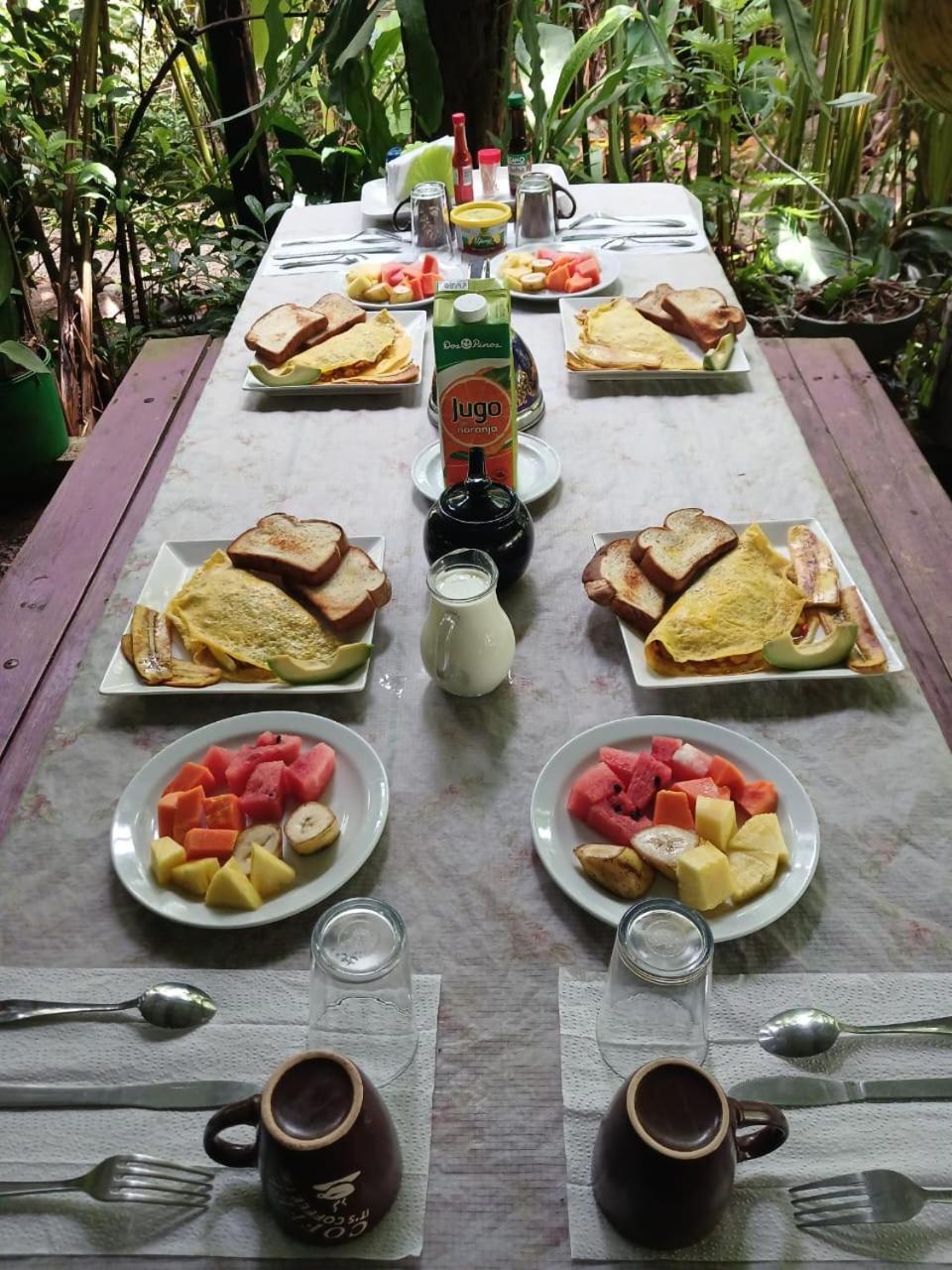 Los Paniquines Ecolodge Drake Bay Zewnętrze zdjęcie