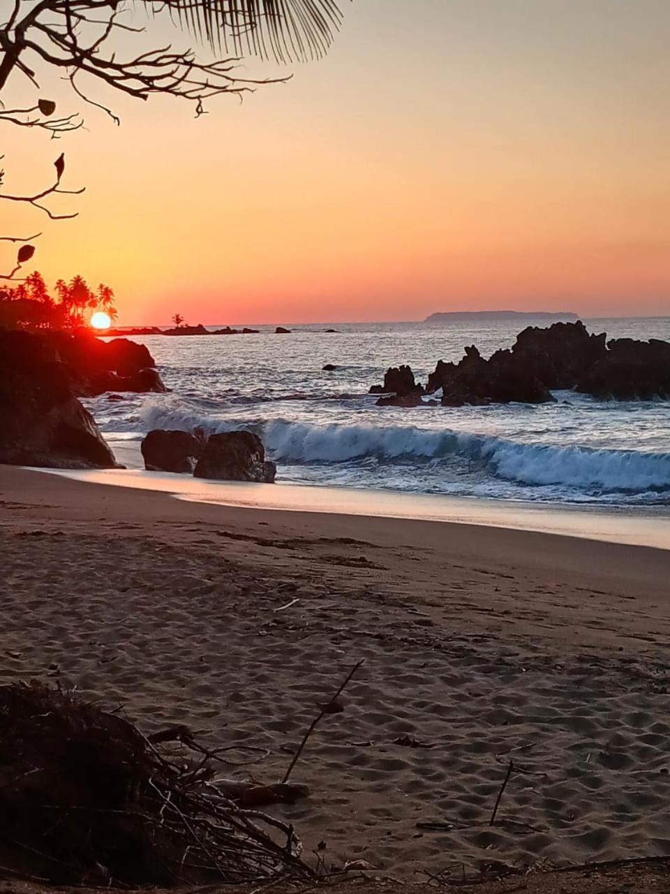 Los Paniquines Ecolodge Drake Bay Zewnętrze zdjęcie